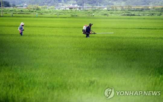 농약 뿌리는 모습. 사진 연합뉴스
